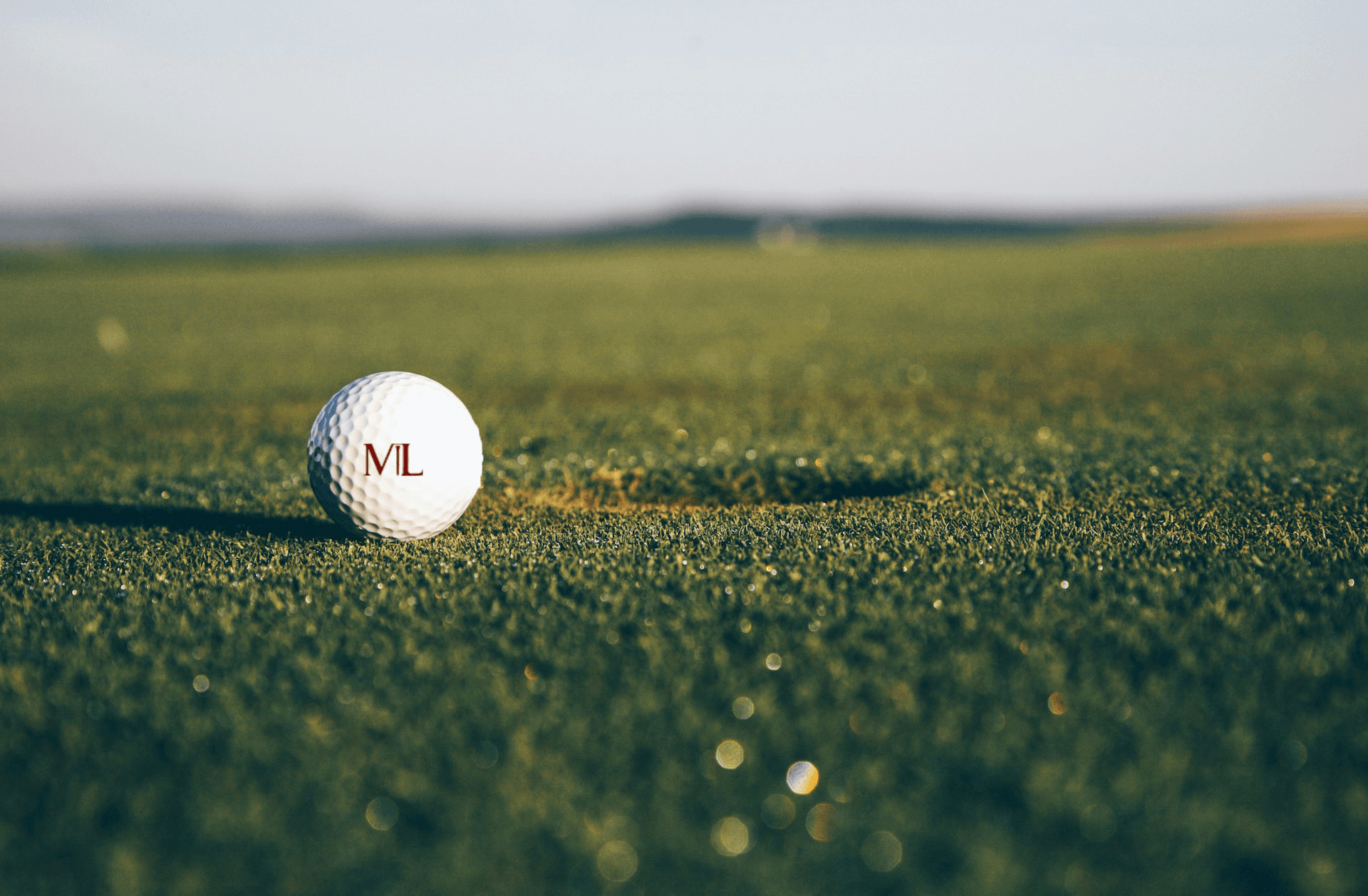 Pelota de golf